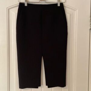 Aritzia Babaton Pencil Skirt